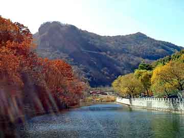 正版澳门天天开彩大全，潜水泵保护器